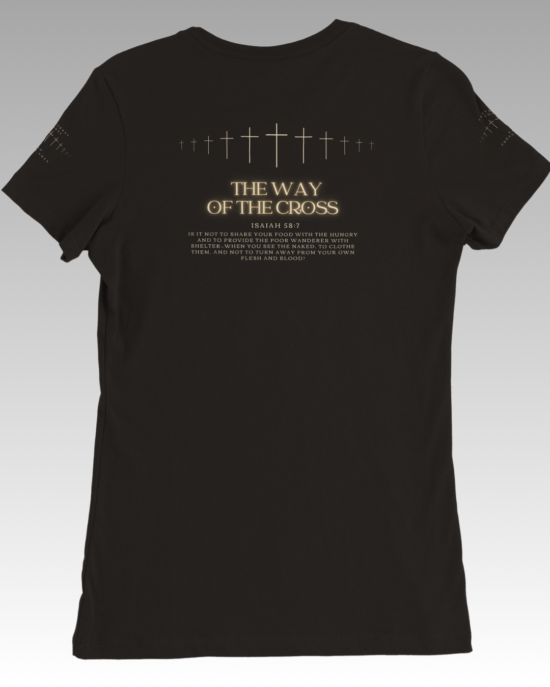 Christ is King Women’s T-Shirt